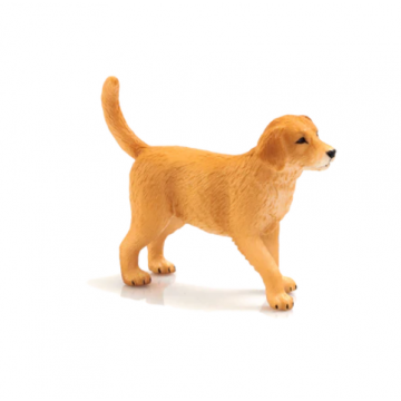 Mojo Farmland Golden Retriever Puppy 387205