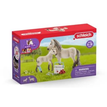 Schleich Horse Club First aid kit & Icelandic horse 42430 