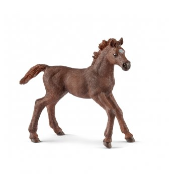 Schleich 13857 English thoroughbred foal