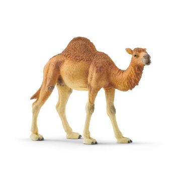 Schleich Wild Life Dromedaris 14832 
