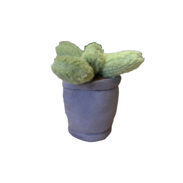 Take Me Home plant pluche Cactus paarse pot 12-17cm 660620