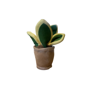 Take Me Home plant pluche Sansevieria 12-17cm 660620