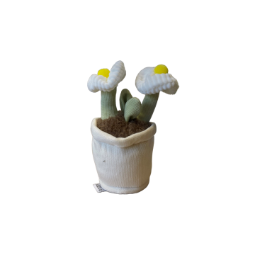 Take Me Home plant pluche Madeliefje 12-17cm 660620