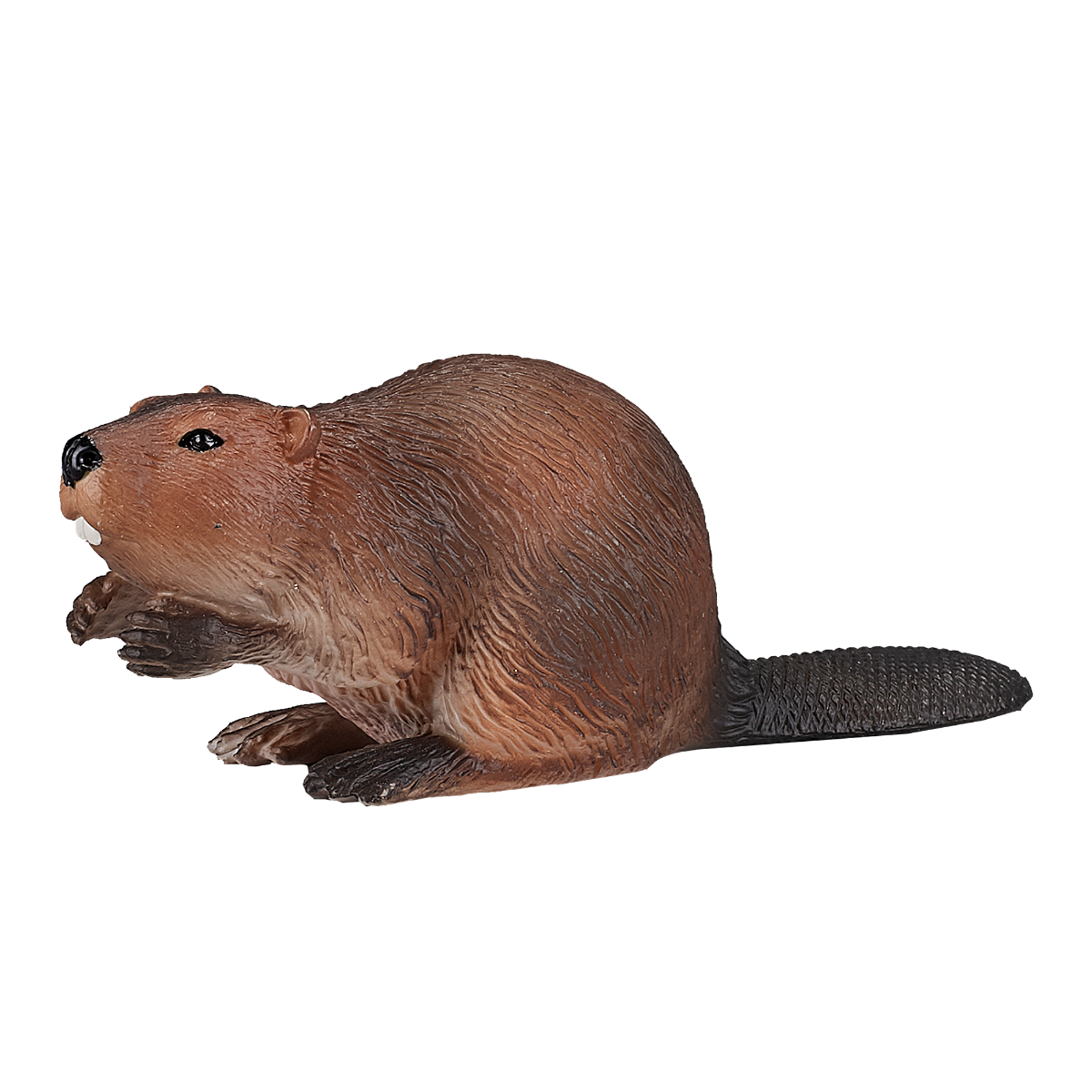 みちこ…SUPER BEAVER Shujinko - YouTube