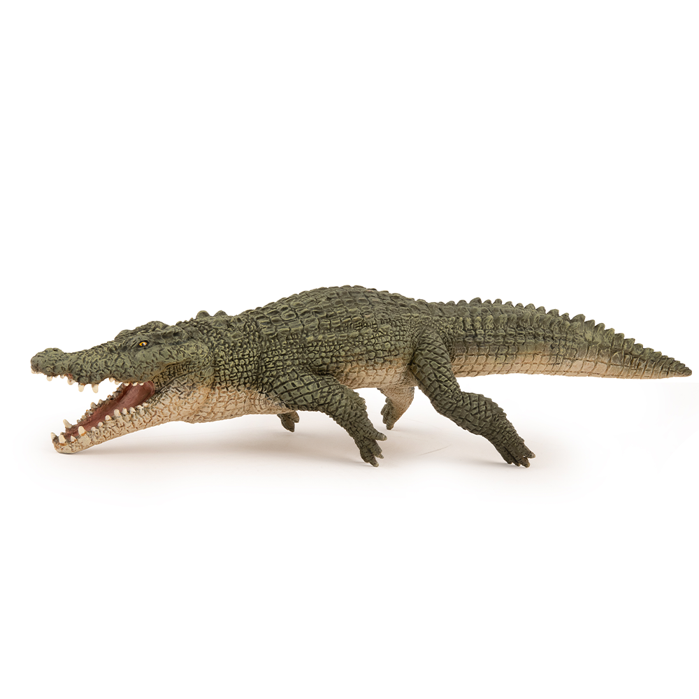 新品未使用品！ WILDSWANS CROCODILE / TONGUE(FP) CROCODILE / TONGUE(FP) | LIMITED | WILDSWANS(ワイルド