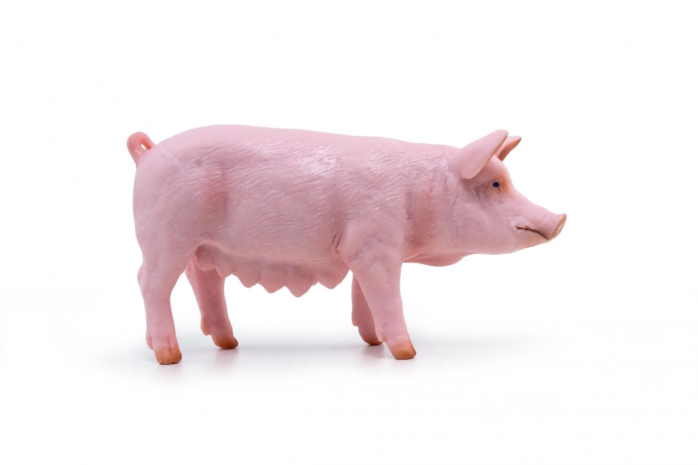 Papo Farm Life Female piglet 51136