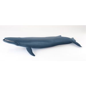 Papo Wild Life Blue whale 56037