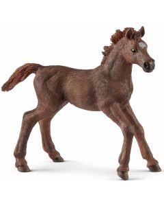 Schleich 13857 English thoroughbred foal
