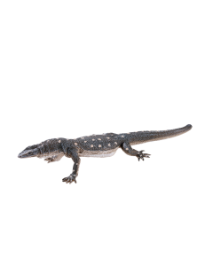 Mojo Wild Life Perentile Lizard 381061