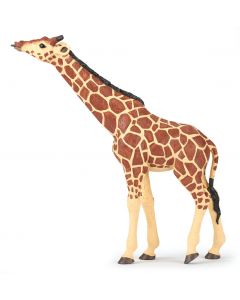 Papo Wild Life Giraffe with Head Raised 50236