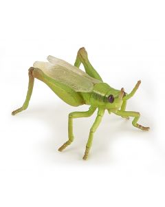 Papo Wild Life Grasshopper 50268