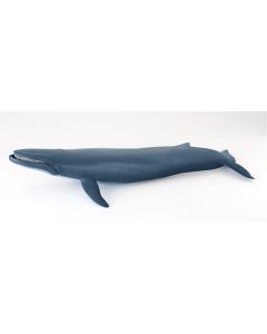 Papo Wild Life Blue whale 56037