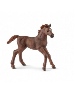 Schleich 13857 English thoroughbred foal