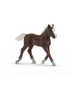 Schleich Horse 13899 Black Forest foal 