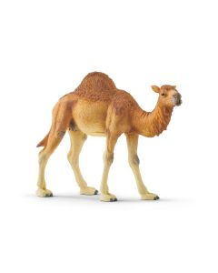 Schleich Wild Life Dromedaris 14832 