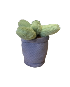 Take Me Home plant pluche Cactus paarse pot 12-17cm 660620