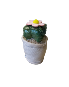 Take Me Home plant pluche Cactus met bloem 12-17cm 660620